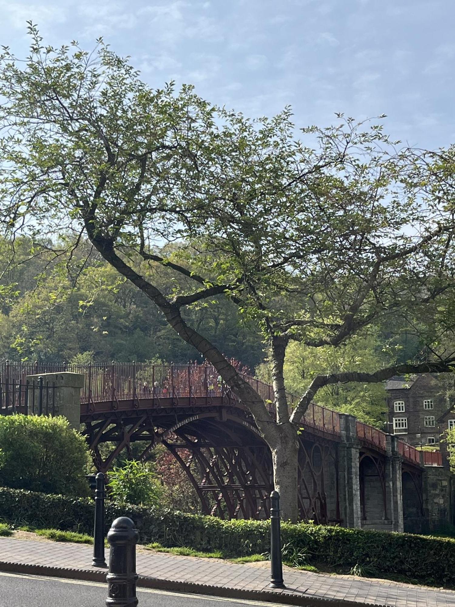 The Tontine Hotel & Bar Ironbridge Eksteriør bilde